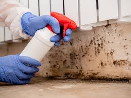 Best Forensic Mold Investigation  in Fairfax, OH